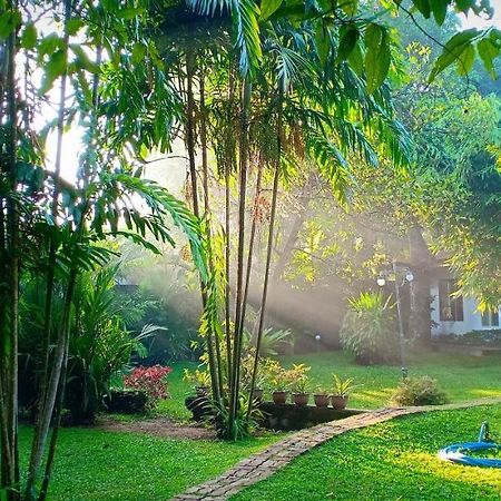 Mango House Japanese Guest House Негомбо Екстериор снимка