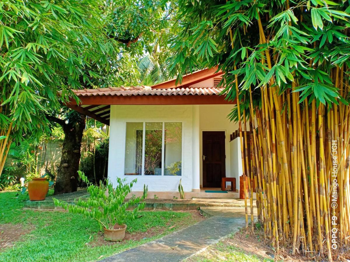 Mango House Japanese Guest House Негомбо Екстериор снимка