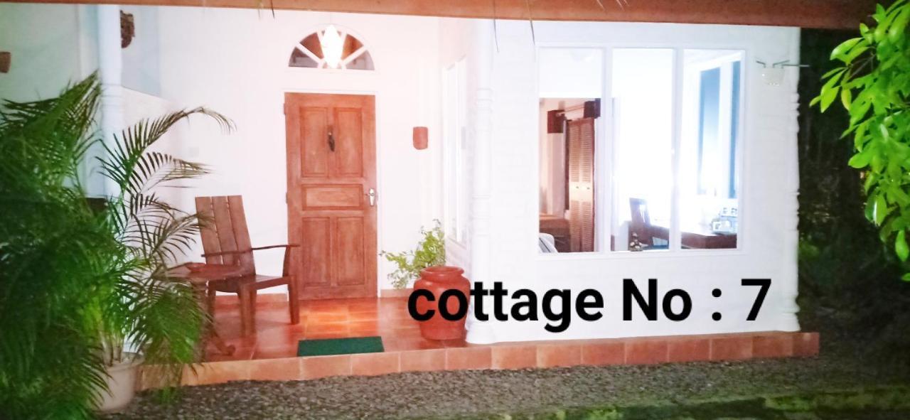 Mango House Japanese Guest House Негомбо Стая снимка