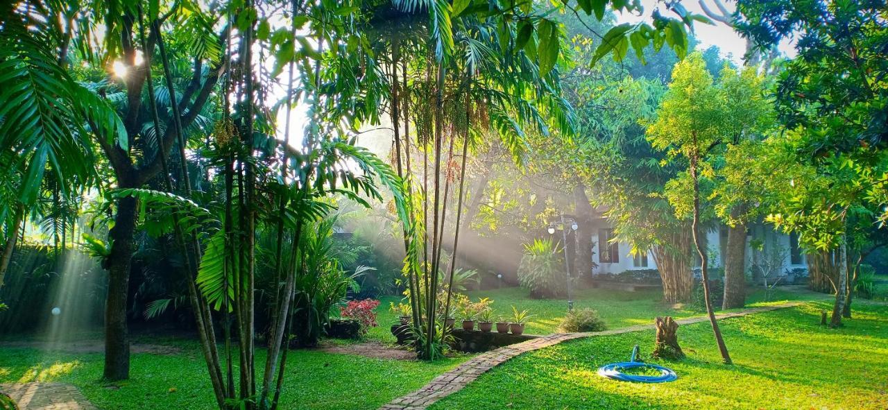 Mango House Japanese Guest House Негомбо Екстериор снимка
