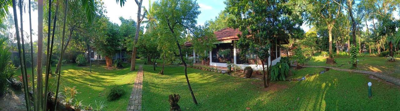 Mango House Japanese Guest House Негомбо Екстериор снимка